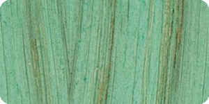 T09